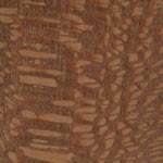 Leopardwood