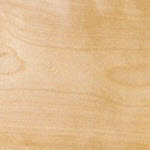 Yellow Birch